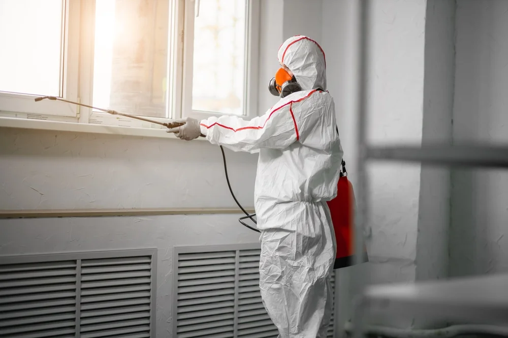 Professional mold remediation services in Hurlburt Field, FL